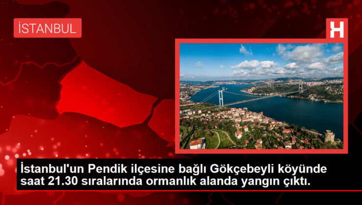 İstanbul’un Pendik ilçesine bağlı Gökçebeyli köyünde saat 21.30 sıralarında ormanlık alanda yangın çıktı.