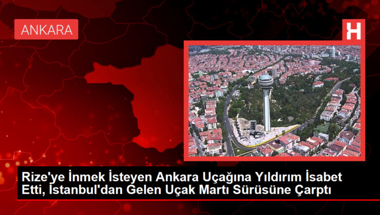 Rize’ye İnmek İsteyen Ankara Uçağına Yıldırım İsabet Etti, İstanbul’dan Gelen Uçak Martı Sürüsüne Çarptı