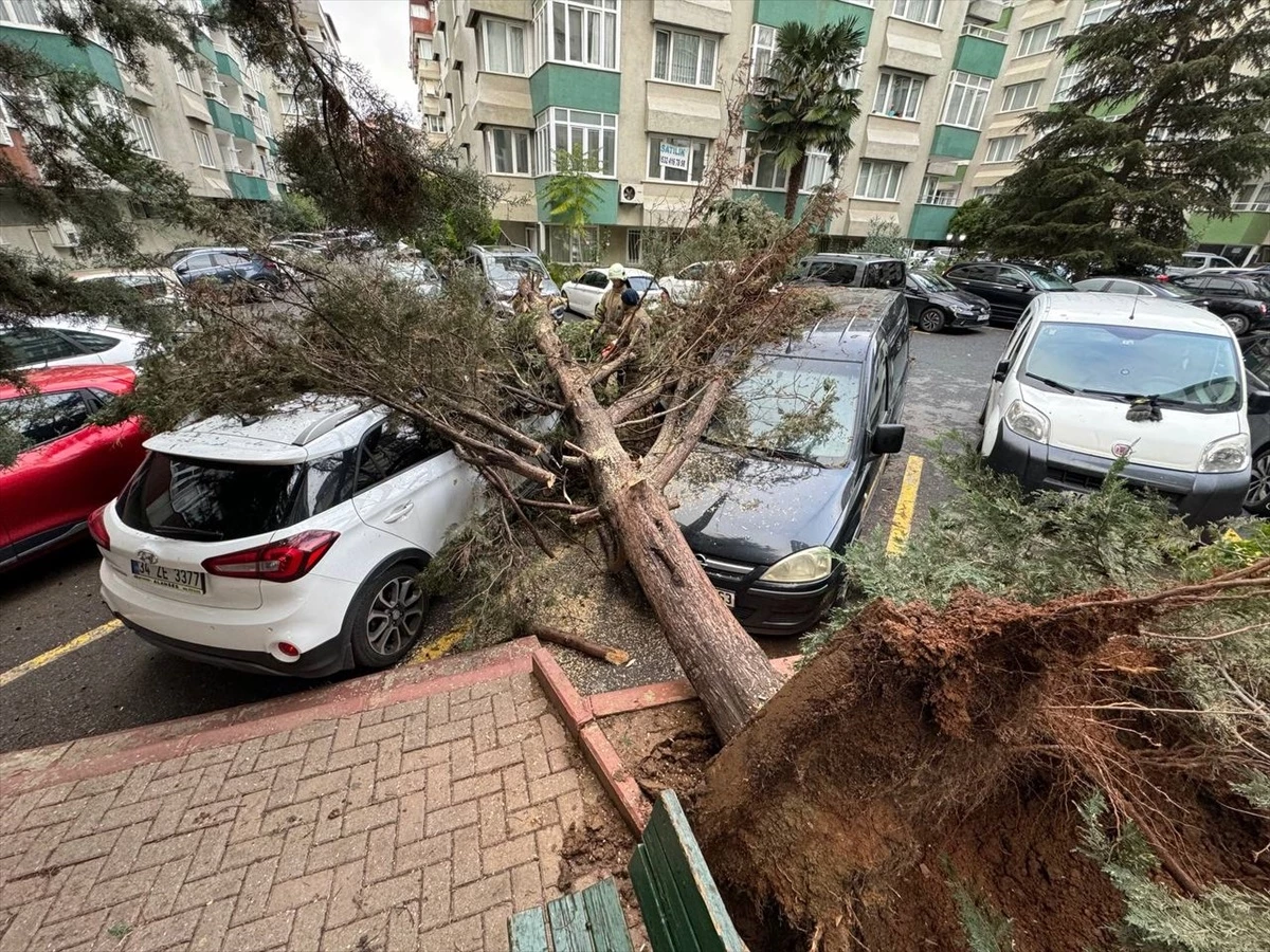 İstanbul’da Fırtına: Ağaçlar Devrildi, Çatılar Uçtu