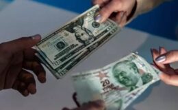 Citi, 2024 ve 2025 yıllarına yönelik dolar/TL tahminini açıkladı