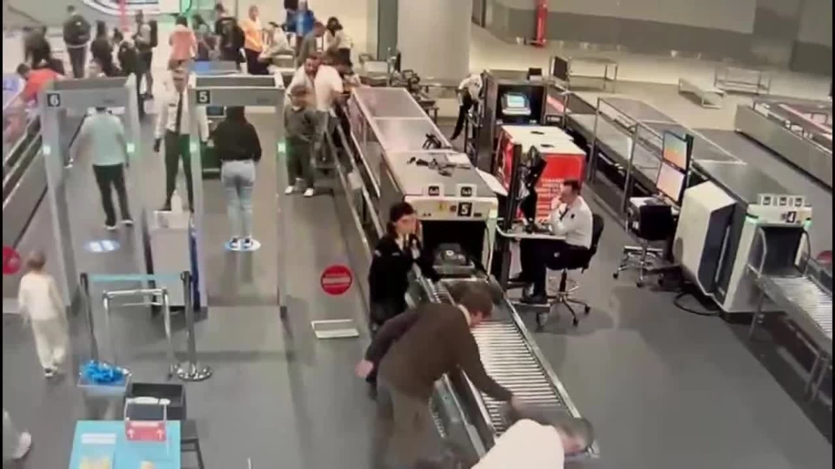 İstanbul Havalimanı’nda Kaçak Hayvan Operasyonu