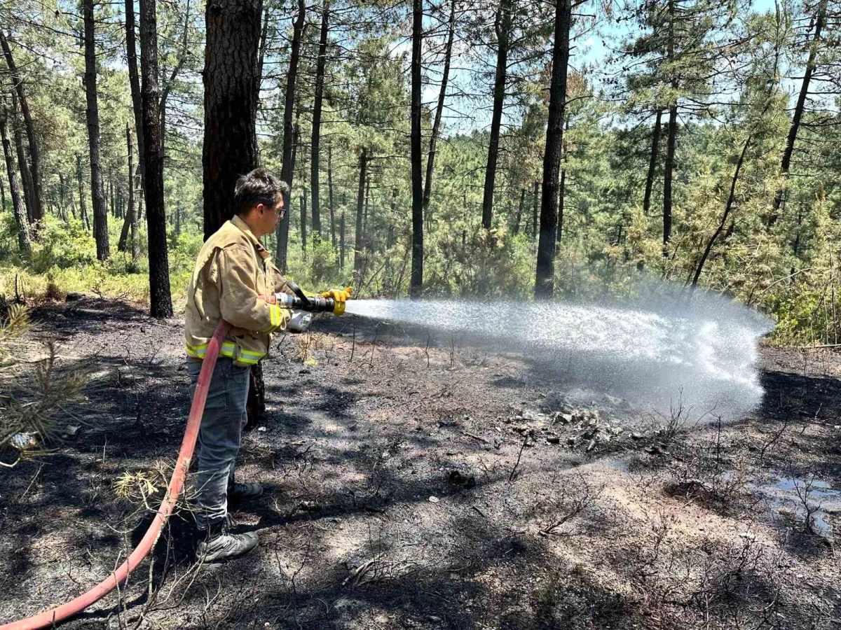 İstanbul Pendik’te Ormanlık Alanda Yangın Çıktı