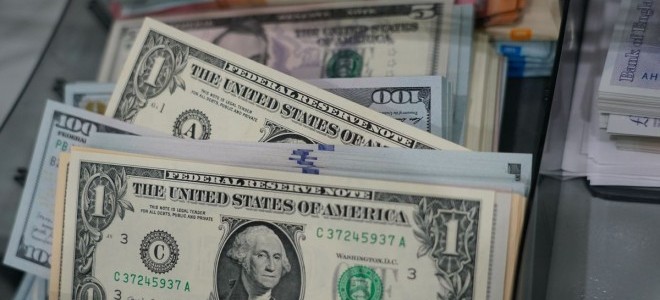 Merkez Bankası’ndan rekor döviz alımı