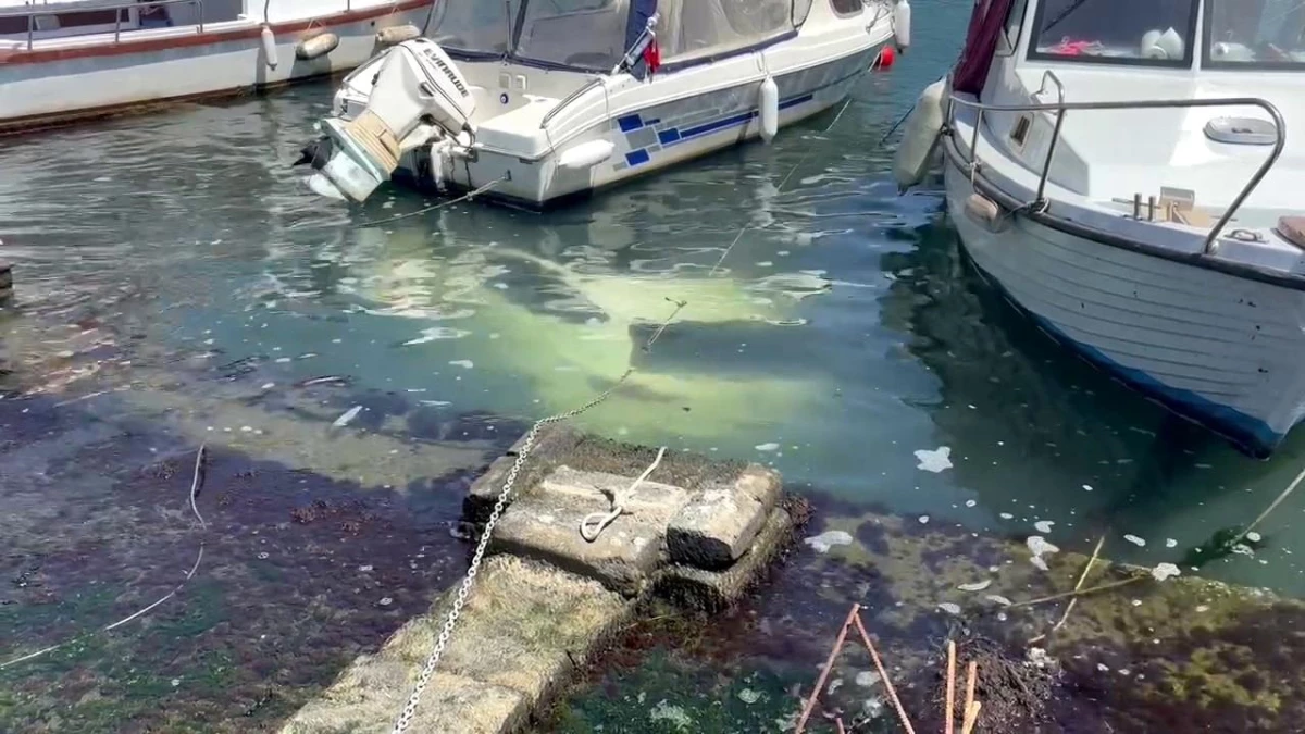 Fatih Ayvansaray Caddesi üzerinde sürücüsünün yol kenarına park ettiği otomobil denize düştü.