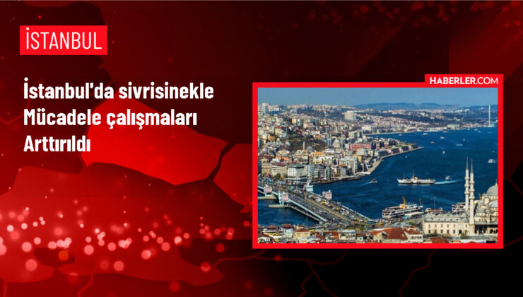 İBB, Sivrisinek Mücadelesini Yoğunlaştırdı