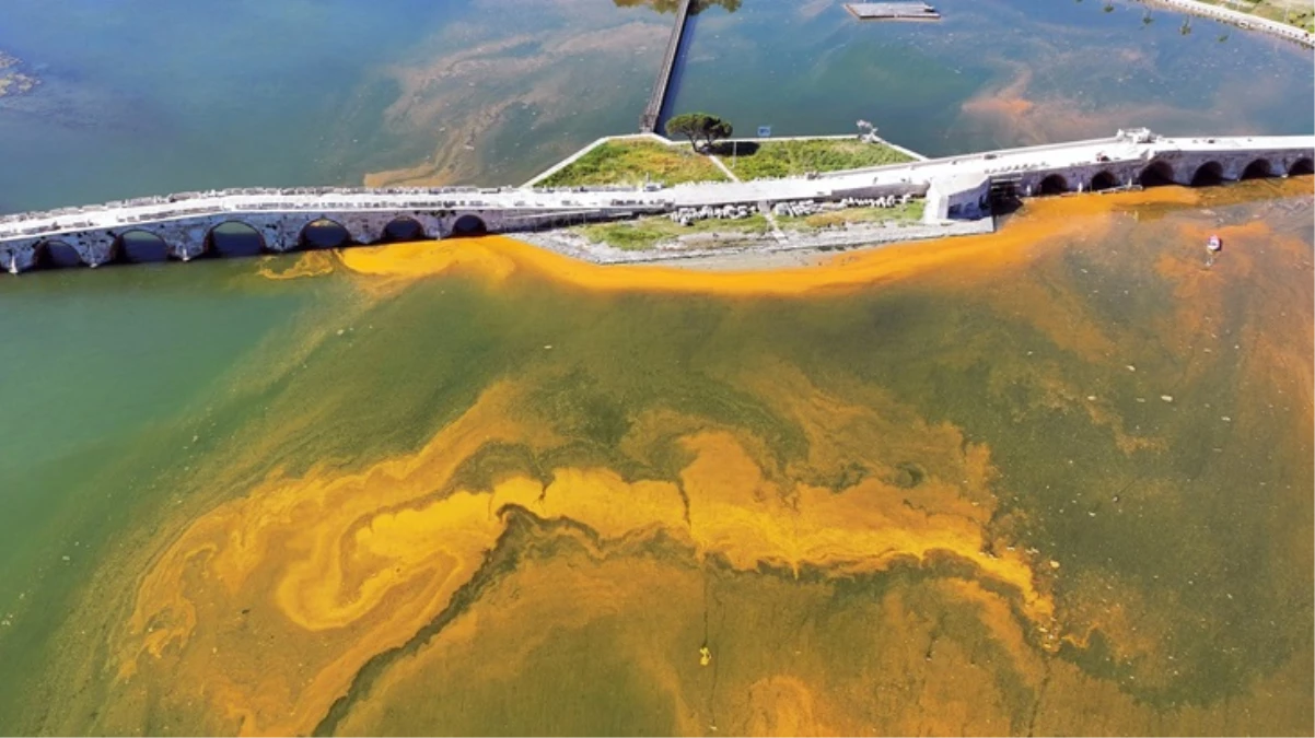 İstanbul’da korkutan görüntü! Denizin rengi sarıya büründü