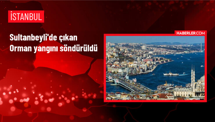 Sultanbeyli’de Ormanlık Alanda Çıkan Yangın Söndürüldü