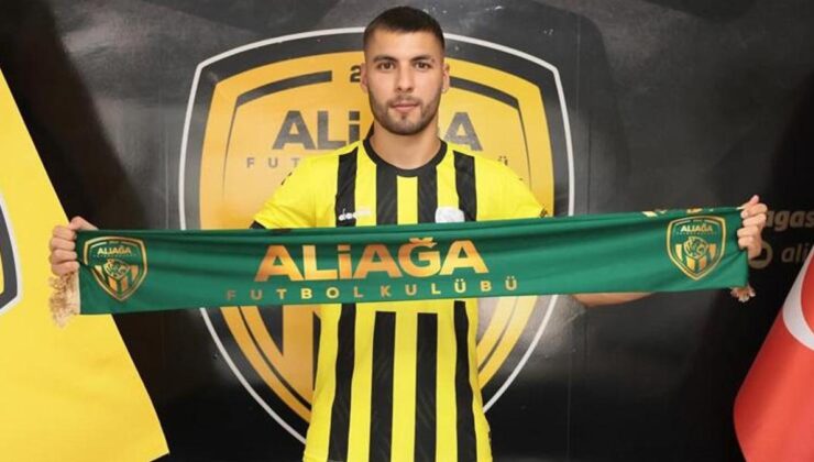 Berk Ali Nizam, Aliağa FK'da