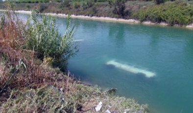 Adana’da iki araç su kanalına düştü