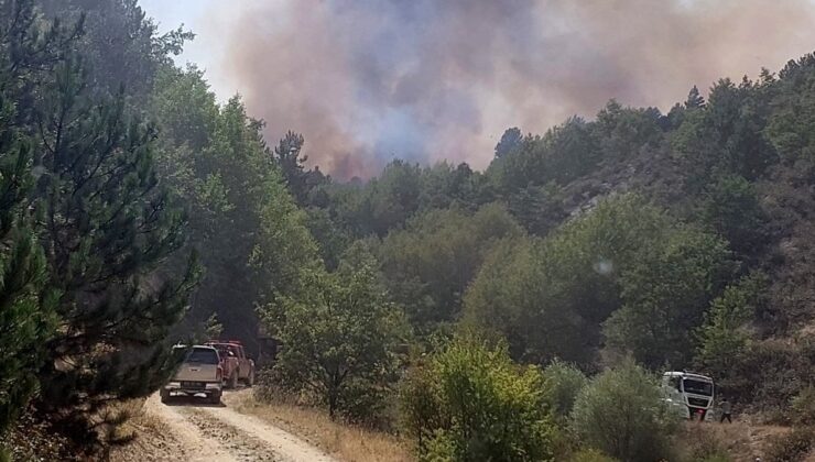 Afyonkarahisar’da orman yangını