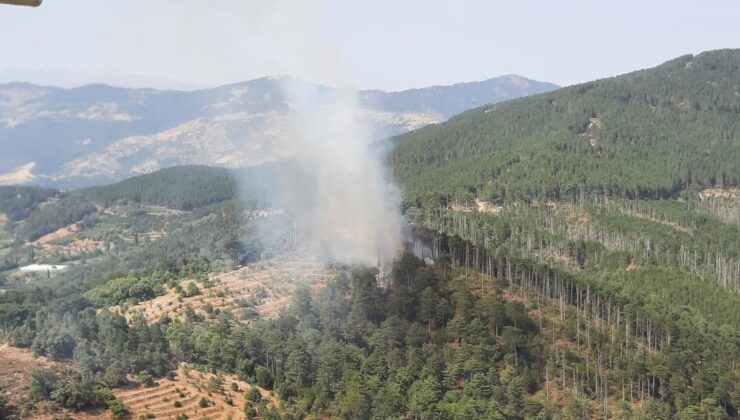 Aydın’da orman yangını kontrol altında