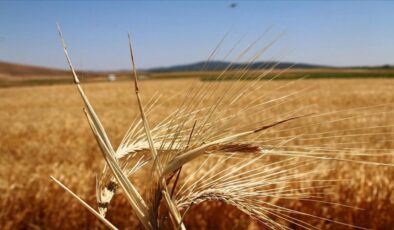 Bakan Yumaklı’dan ‘destekleme’ açıklaması