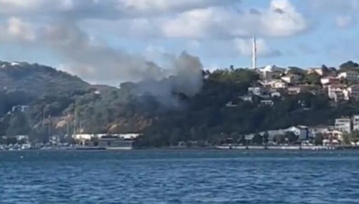 Beykoz’da ormanlık alanda yangın