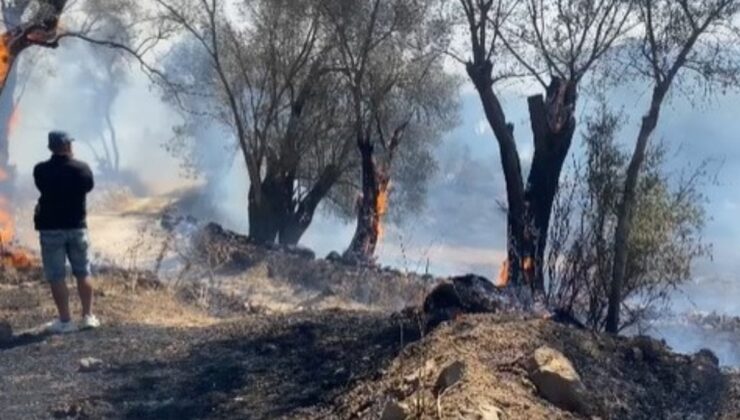 Bodrum’daki yangına müdahale sürüyor