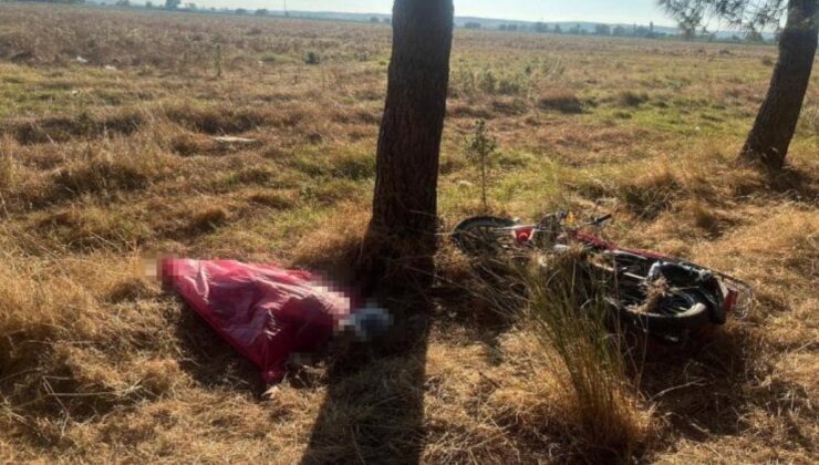 Bursa’da ağaca çarpan motosikletin sürücüsü öldü