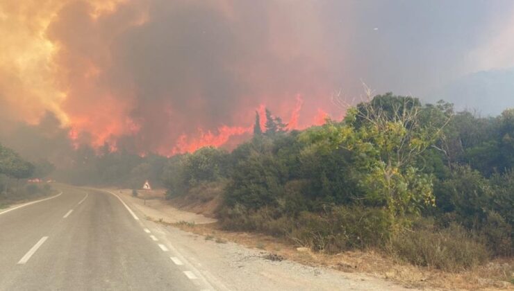 Çanakkale’de çıkan orman yangını rüzgarın etkisiyle büyüdü