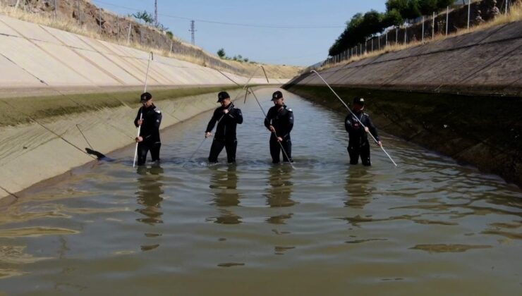 Diyarbakır’da kaybolan Narin’den iz yok