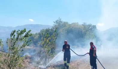 Erzincan’da ağaçlık alanda çıkan yangın korkuttu