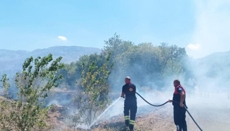 Erzincan’da ağaçlık alanda çıkan yangın korkuttu