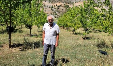 Erzincan’da Mustafa Öğretmen 10 yılda 20 binden fazla fidan dikti