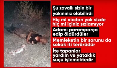 Fatih’te sokak köpeklerinin saldırdığı kişi öldü