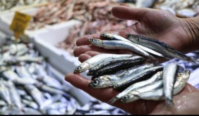 Karadeniz’de balıkçılar 400 bin tonluk av kotasına tepki gösterdi