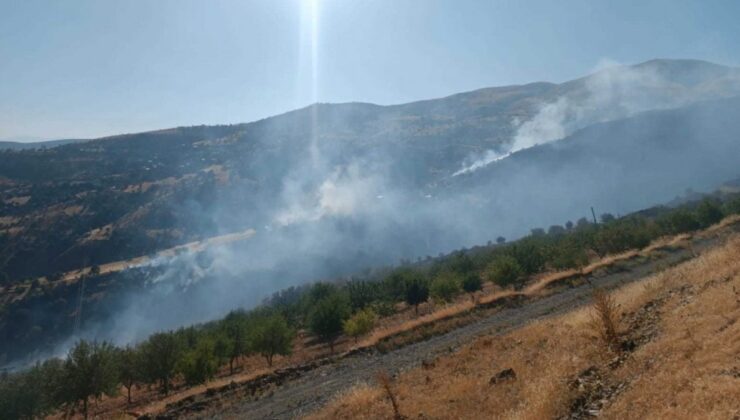 Malatya’da orman yangını