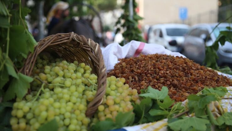 Manisa’da sezonun ilk çekirdeksiz kuru üzüm alımı yapıldı