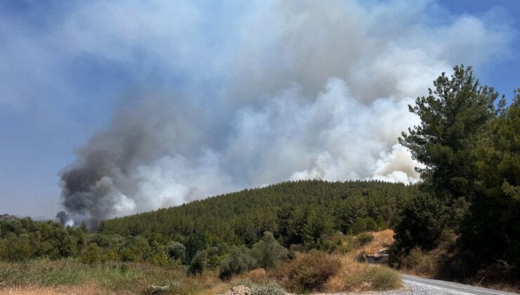 Muğla’da iki ayrı noktada orman yangını başladı