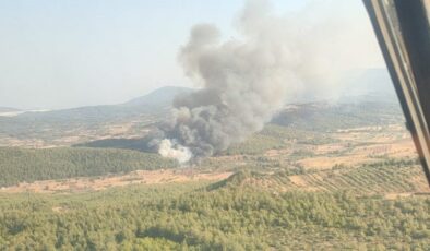 Muğla’da yeni orman yangını