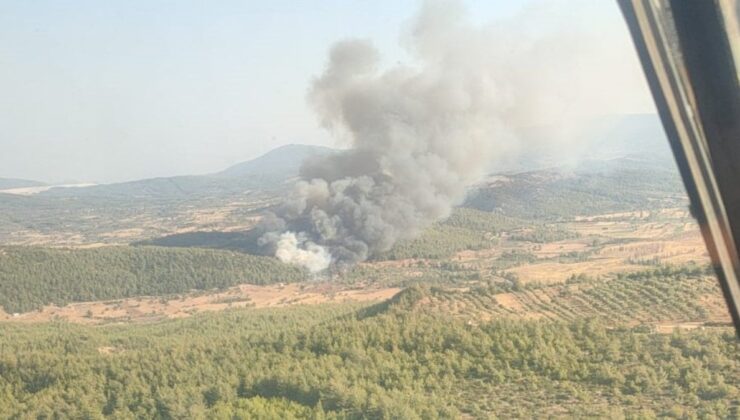 Muğla’da yeni orman yangını