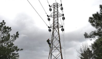 Türkiye’nin vergi rekortmenleri listesindeki enerji şirketleri