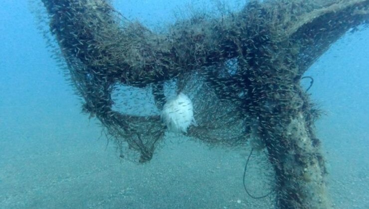 Antalya’da trol ağları kalamar neslini riske atıyor