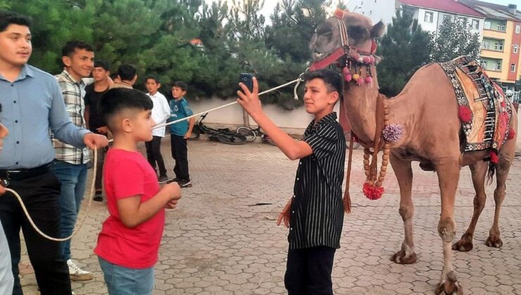 Antalya’dan Ağrı’ya kurbanlık deve gönderildi