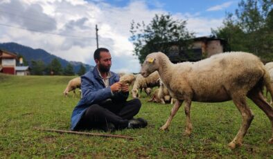 Artvin’de kaymakamlık hayali kuran genç, çoban oldu