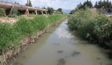 Bursa’da dereden zehir akıyor