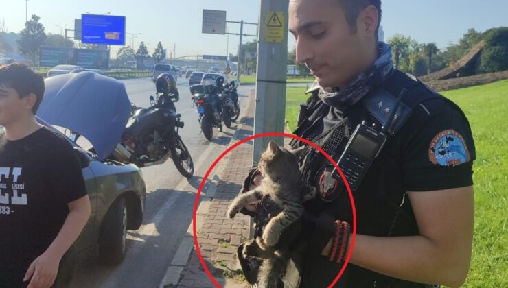 Bursa’da trafiği birbirine katan kediyi polisler kurtardı