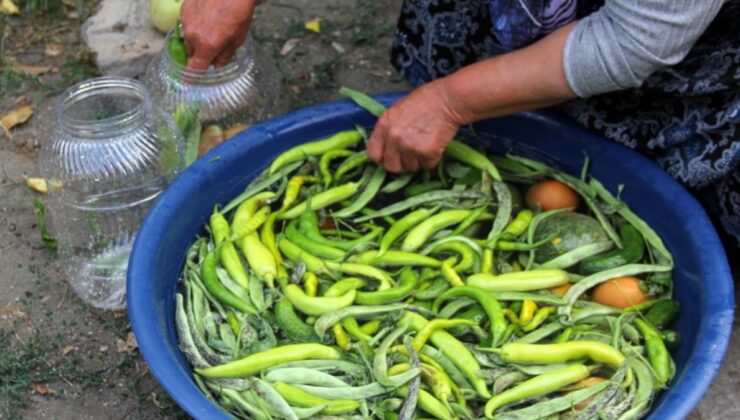 Erzincan’da kadınların turşu mesaisi