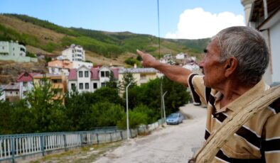 Gümüşhane’de emekli öğretmen diktiği fidanlarla köyünü yeşillendirdi