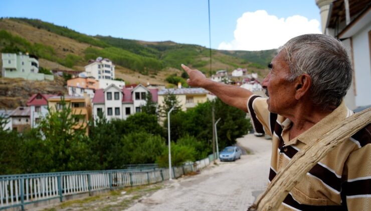 Gümüşhane’de emekli öğretmen diktiği fidanlarla köyünü yeşillendirdi