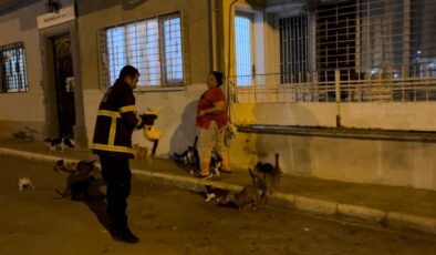 Hatay’da koli bandına sıkışan kedi, yardım eden itfaiyeden kaçtı