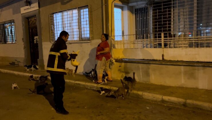 Hatay’da koli bandına sıkışan kedi, yardım eden itfaiyeden kaçtı