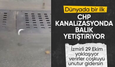 İzmir’de sağanak sonrası kanalizasyondan balık fırladı