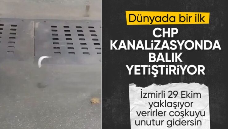 İzmir’de sağanak sonrası kanalizasyondan balık fırladı