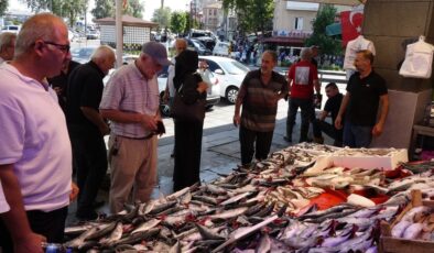 Karadeniz’de tezgahlar çeşit çeşit balıkla doldu