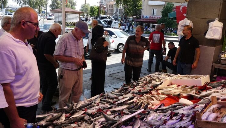 Karadeniz’de tezgahlar çeşit çeşit balıkla doldu