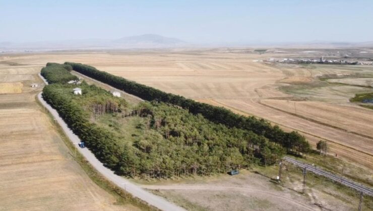 Kars’ta bozkırın ortasında eylül güzelliği