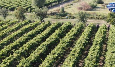 Manisa’da korkunç olay: Çiftçi öldürüldü, 2 kişi tutuklandı