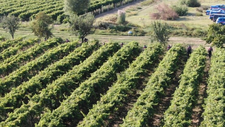 Manisa’da korkunç olay: Çiftçi öldürüldü, 2 kişi tutuklandı