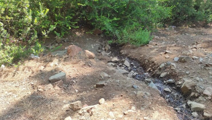 Muğla’da ormana terk edilmiş bebek bulundu